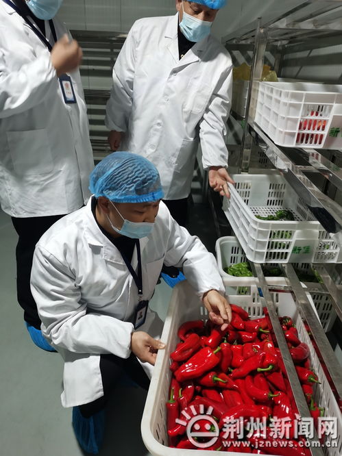 21種高風險食品禁入中小學幼兒園 沙市區開展專項檢查