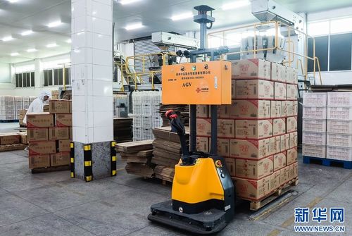 5G+工業(yè)互聯(lián)網(wǎng)賦能食品產(chǎn)業(yè)，高性能減水劑支撐基建升級(jí)——晉江高質(zhì)量發(fā)展雙輪驅(qū)動(dòng)